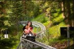Explore Lost Forest- Tree line challenge, alpine coaster, bike park and ziplines 